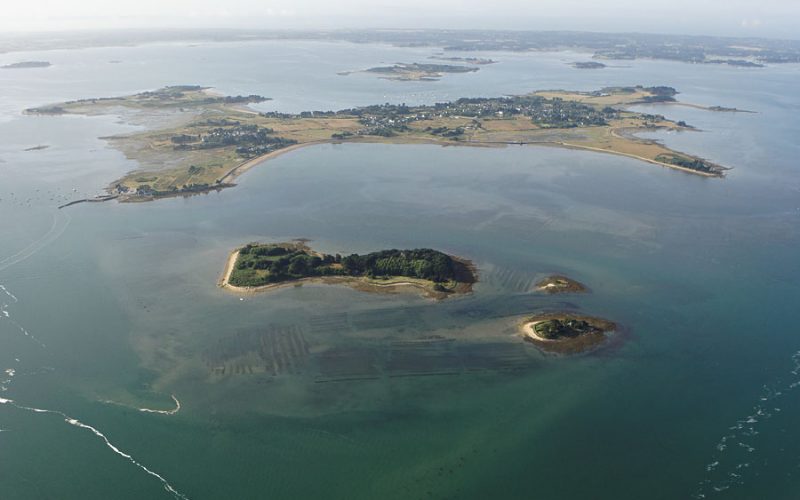 vue aerienne de l'île Drenec (île d'Arz), Golfe du Morbihan (56), Bretagne et ses îles, France, Europe