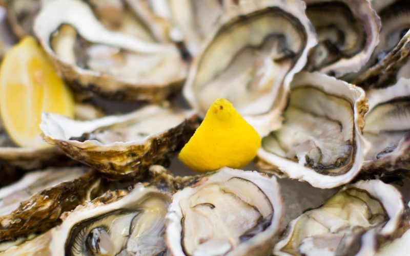 many opened oysters on plate top view close up